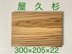 Item thumbnail for item acd42152-a7c1-4628-9218-c866410e9f46