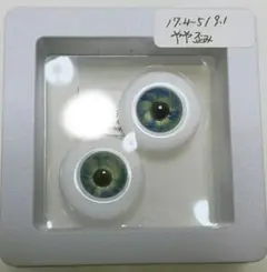 Item thumbnail for item 2a8ba882-8dcd-412f-8724-5d453d583b95