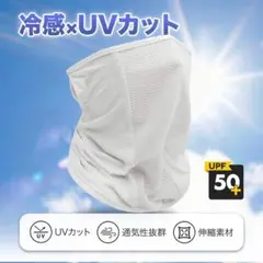 Item thumbnail for item 1e09567b-9c42-42e6-a3bd-f6c6be53251a