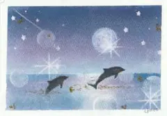 自作作品 【星降る海】