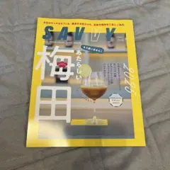 【最新】SAVVY 2025年10月号　梅田