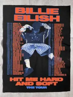 新品　Billie Eilish ビリーアイリッシュ　ポスター