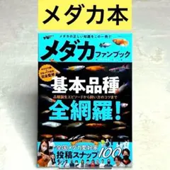 【良品】メダカファンブック （双葉社スーパームック）