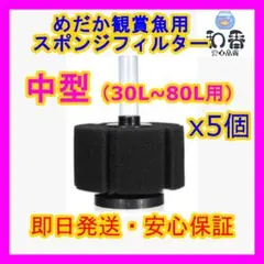 ★水質浄化★スポンジフィルター中型水槽用5個 めだか 金魚 PSB クロレラZ