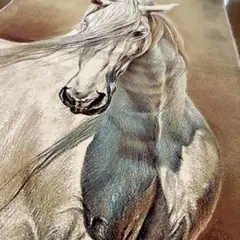 Item thumbnail for item 31fe5528-aaab-426d-8865-e4b696350231