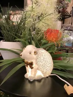 【お値引き中】新品　人気のハリネズミ　アロマのランプ　癒し