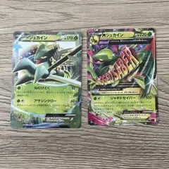 MジュカインEX RR XY7 バンデットリング 008/081 進化セット