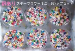 訳ありセット　スターフラワーミニ　6カップセット　1カップ約400個入り×6