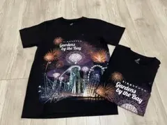 Gardens by the Bay Tシャツ 2枚セット