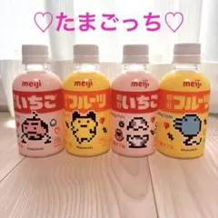 たまごっち　明治　コラボ　ボトル　4本