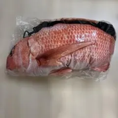 鯛のBAG ぬいぐるみ 90cm程度 アミューズメント景品