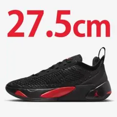 27.5cm ナイキ ジョーダン ルカ 1 プラットフォーム