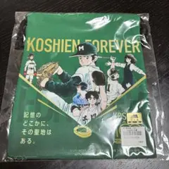 甲子園球場100周年漫画コラボ　タッチ・H2・MIX パーカー 新品未開封 2025年最新】甲子園球場100周年 タッチの人気アイテム - メルカリ