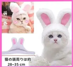 Item thumbnail for item db5ac892-fc5a-4626-99cb-f55ca118a41b