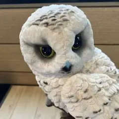 フクロウ　高さ約30センチ