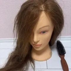 ユーカリジャパンアップスタイルウィッグ