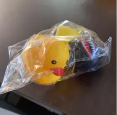 Item thumbnail for item cd817d23-6d1a-462b-8bf1-0f4e3e6d3d56