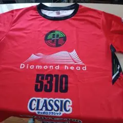 Item thumbnail for item 1c2d3bda-4b28-4f8f-80ad-fd6bd82caa31