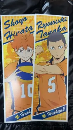 Item thumbnail for item 0acc8200-a403-48f6-991b-54d50bbbbc5c