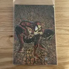 【限定品】USJ　スパイダーマン　アートパネル Amazon.co.jp: USJ限定 スパイダーM アートパネル ユニバ