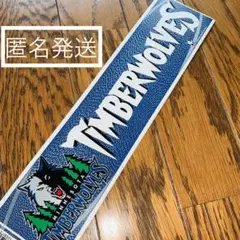 未使用 NBA ミネソタ ティンバーウルブス 公式 ステッカー お土産