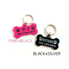 Item thumbnail for item 72bc0a53-806f-4729-a534-9e2fd1ca830e