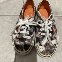 限定品 新品 未使用 無キズ 箱も綺麗です VANS ASPCA 猫柄シューズ 限定品 新品 未使用 無キズ 箱も綺麗です VANS ASPCA 猫柄