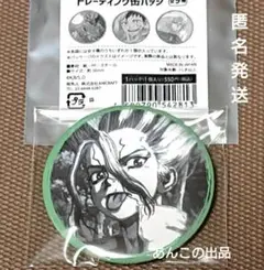 ドクターストーン 千空 缶バッジ アインシュタイン風