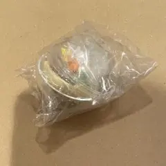 ポケットモンスター アチャモ テラリウム