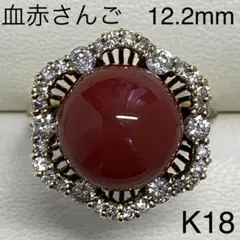 最高級 K18 血赤珊瑚リング 12.2mm サイズ14号 さんご
