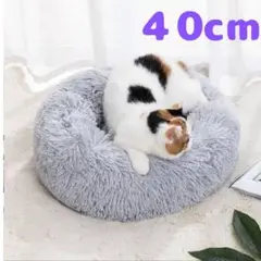 Item thumbnail for item 4ebe3bc9-1505-4b4e-b8c6-71173038dc6c