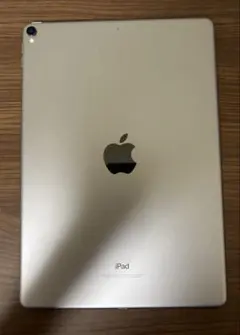 iPad Pro (10.5インチ) スペースグレイ　64GB