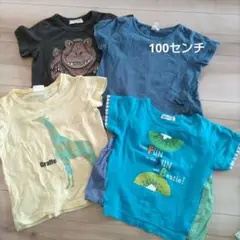 Tシャツセット 100cm