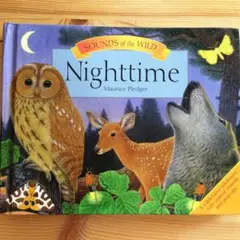 Nighttime しかけ絵本 英語