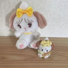 スフレ セット