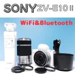 Item thumbnail for item 9ae3d136-7f88-4863-abc8-02f9093a8e2b