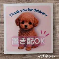 トイプードル 置き配OKステッカー ステッカー 宅配 犬 dog わんちゃん