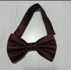 Item thumbnail for item da5cce15-4628-4aef-8849-417d37127b71