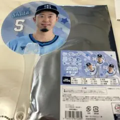 ライオンズ　シークレットミニうちわキーホルダー