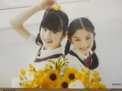 【美品/5枚】 『さくら学院 2014 in Summer』フォトセット/ B