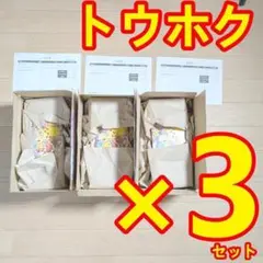 【新品未開封】ポケモンカードゲームスペシャルBOX ポケモンセンタートウホク