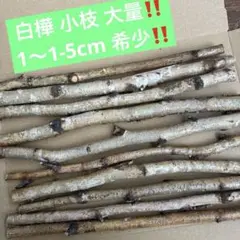 Item thumbnail for item a8c02810-a5cc-4f4a-a670-f29d78c5b7cb