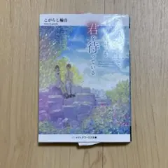 この空の上で、いつまでも君を待っている