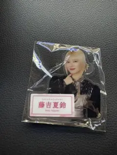 Item thumbnail for item 678f84af-bac2-47b7-b0e9-b6154b5f2bc1