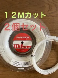 【2個セット】Wilson SUPER SPIN 16 テニスガット（12m）