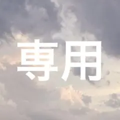専用ページ