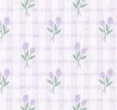 ポリシー化粧品 イミュニティフレッシュ300ml 【ご購入前にコメント下さい】