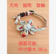Item thumbnail for item 33797935-bf06-44ab-91a3-159016bdb677