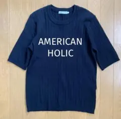 AMERICAN HOLICリブニットTシャツ