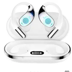 Item thumbnail for item a5d03371-240f-45eb-927d-0f28f35e479f
